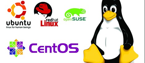 وظایف ادمین لینوکس | تخصص های مورد نیاز کارشناس شبکه لینوکسی | درباره Linux Expert | متخصص کش سرور لینوکسی | درباره Linux Admin پایگاه داده | کارشناس مجازی سازی لینوکس | پروفشنال سرویس های لینوکسی، شرکت پشتیبانی لینوکس | کارشناس کامپیوتری لینوکس | متخصص امنیت شبکه لینوکس | کارشناس نگهداری شبکه لینوکس