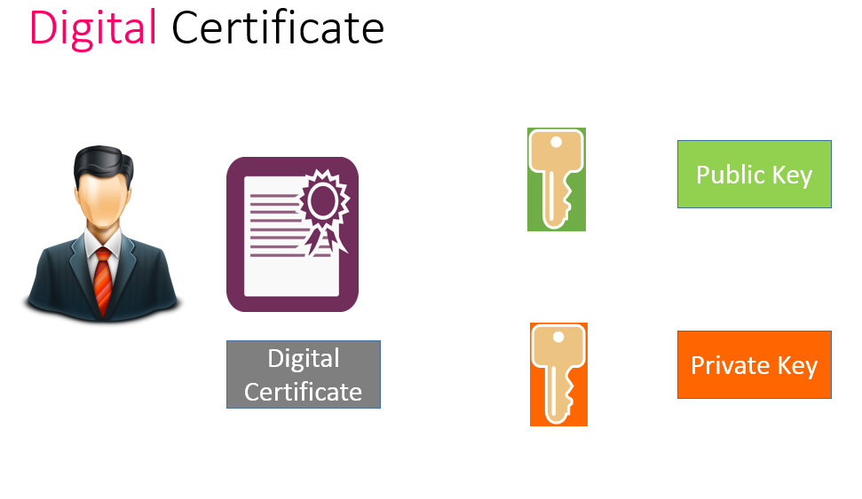 گواهی نامه دیجیتال | Digital Certificates | digital certificate how it works | free digital certificate