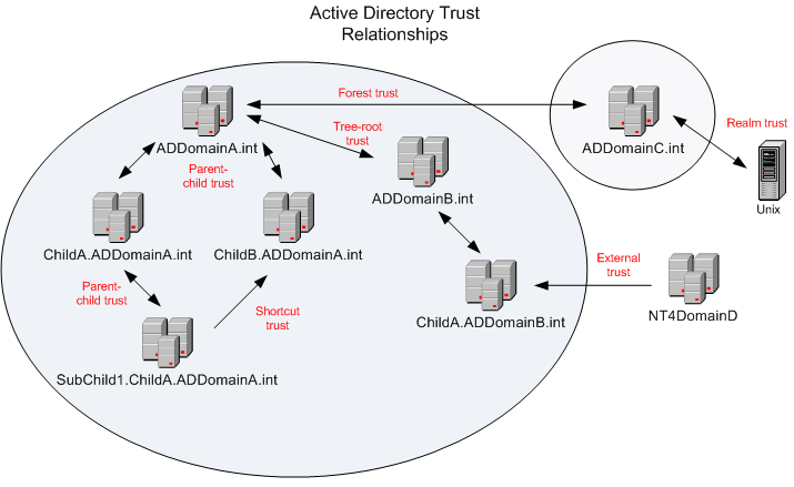 ساختار منطقی Active Directory - آموزش شبکه | آشنایی با زیرساخت های Active Directory در Windows Serve | آموزش تصویری راه اندازی Domain Controller